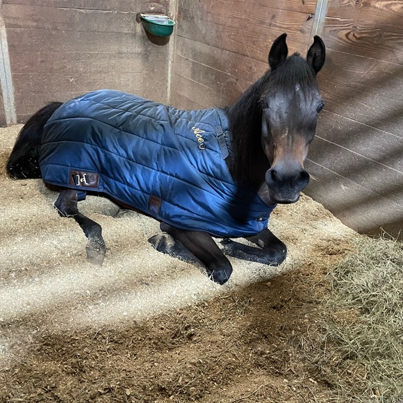 Meet your Posher, Patty - Picture 7 of 7